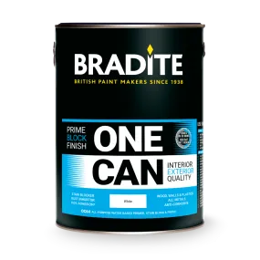Bradite ONE CAN Block And Finish Colours - Satin