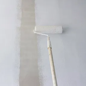 ECOS Paints - Universal Primer