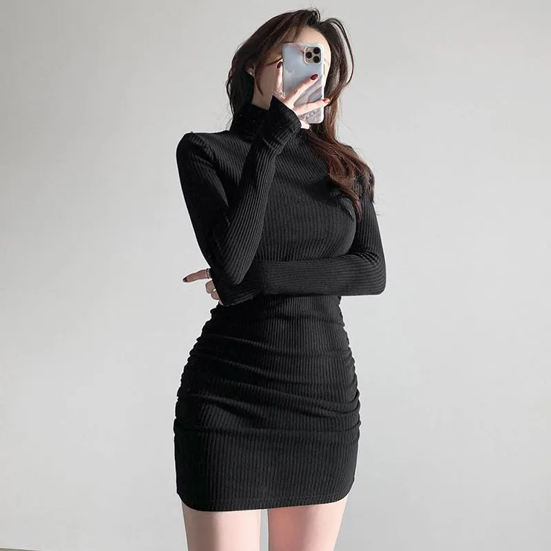 Julia Fashion - Ribbed Knit Turtleneck Women's Dress